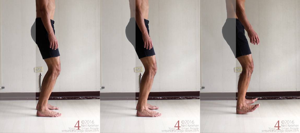 Rearwards weight shift Shift weight backwards while standing so that the point of greatest pressure is at your heels, then lift your forefeet.