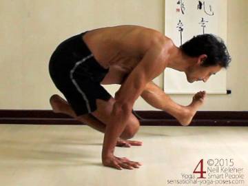 Arm Balance 11 Koundinyasana