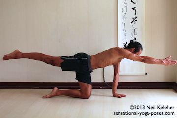 Balance Ex Cat Same Side Lift 16 balancing cat pose, , cat pose with same side leg and arm lifted