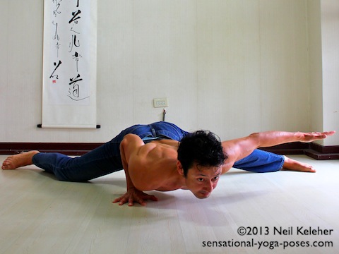 Half Split Strength With Arm Lift 4 half split and half crocodile, Yoga pose arm strenghtening exercises, yoga for flexiblity, combining strength and flexiblity