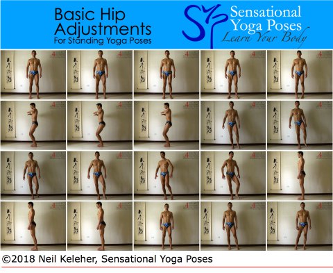 Basic hip adjustements for standing yoga poses: thigh rotations relative to pelvis, moving pelvis relative to thighs, weight shifting. Basic hip adjustements for standing yoga poses: thigh rotations relative to pelvis, moving pelvis relative to thighs, weight shifting. Neil Keleher. Sensational Yoga Poses.
