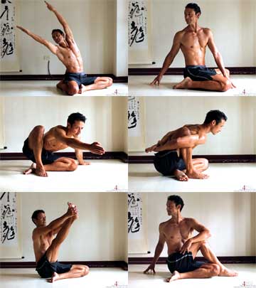 Mosaic Bharad Mari B Ardha Matsy Easy Compass yoga for flexibility min routine, easy bharadvajasana side bend for stretching quads and ankles, easy bharadvajasana twist for spinal flexibility and an added quad stretch, easy marichyasana b for shoulder and hip flexibility and grip stretngth, ardha matsyandrasana for spinal flexibility and compass prep pose for stretching the hamstring. Neil Keleher. Sensational Yoga poses.