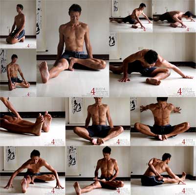 Mosaic Lotus Prep Comp