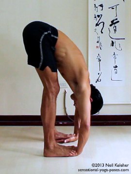 Arm strengthening standing forward bend, standing on the hands. Neil Keleher, Sensational Yoga Poses.