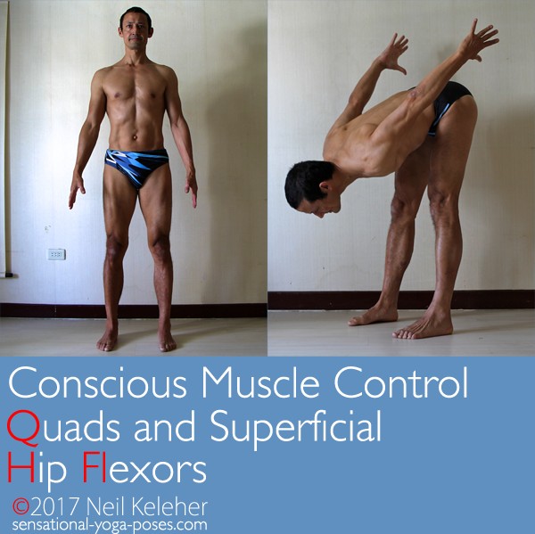 Quads And Superficial Hip Flexors 1S conscious muscle control: quads and superfial hip flexors, mountain pose, standing forward bend, neil keleher, sensational yoga poses.