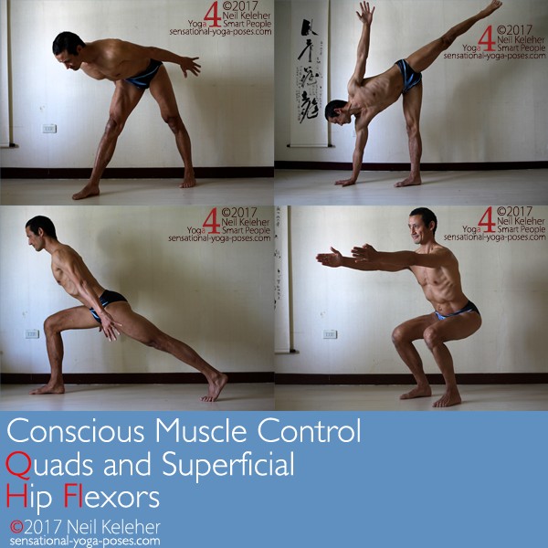 Quads And Superficial Hip Flexors 2S conscious muscle control: quads and superfial hip flexors, front triangle pose, half moon pose, angle lunge pose, chair pose, neil keleher, sensational yoga poses.