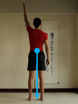 Red Cg 1 location of center of gravity, body straight and upright