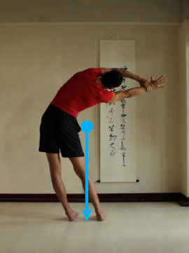 Red Cg 2 location of center of gravity, body upright and bent to one side