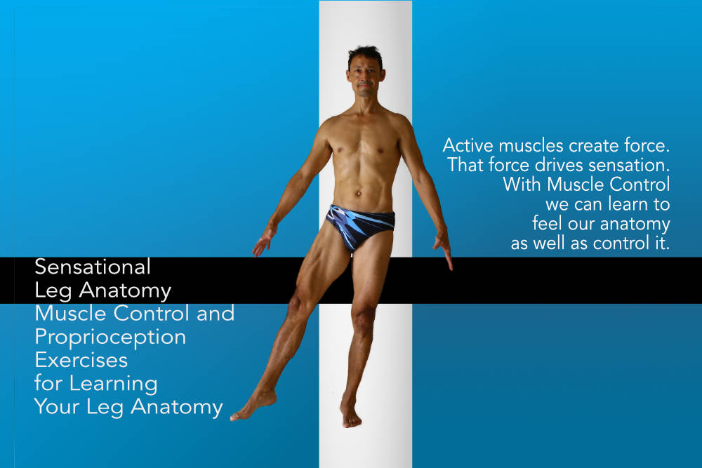 Sensational Leg Anatomy, exercises you can do while standing, no yoga poses required. Sensational Leg Anatomy, exercises you can do while standing, no yoga poses required. Neil Keleher. Sensational Yoga Poses.
