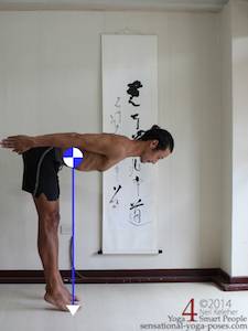 Shape Changes And Center Of Gravity 2 Cg location of center of gravity, body bent forwards with arms back