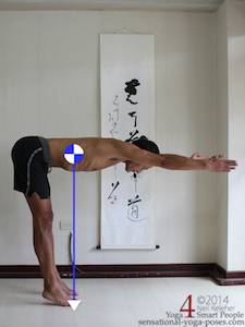 Shape Changes And Center Of Gravity 3 Cg location of center of gravity, body bent forwards with arms forwards, neil keleher, sensational yoga poses