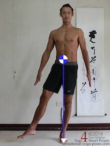 Shape Changes And Center Of Gravity 4 Cg location of center of gravity, body straight and upright