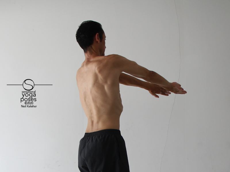 arms to front internally rotated,rotator cuff exercises, shoulder exercises, arm rotations
