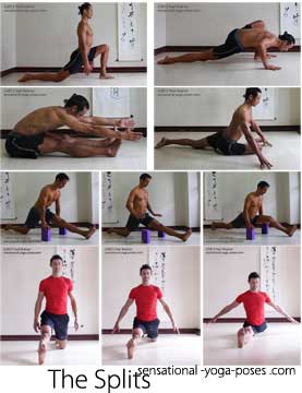 Splits Front To Back 1 working towards the splits, high lunge, low lunge, seated forward bend, upright pigeon, working towards splits with hands on blocks, upsupported splits with front knee straight, supported splits with back knee lifted, sliding deeper into splits with arms lifted