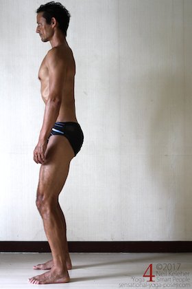 standing with lumbar vertebrae moving away from inguinal ligament, standing with lower back flat, lower back flattened, psoas major stretch, stretching lower fibers of psoas major
