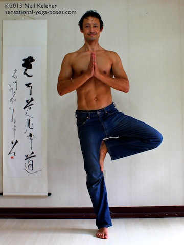 beginners yoga poses, beginners yoga workout, sensational yoga poses, basic yoga poses, tree yoga pose for beginners