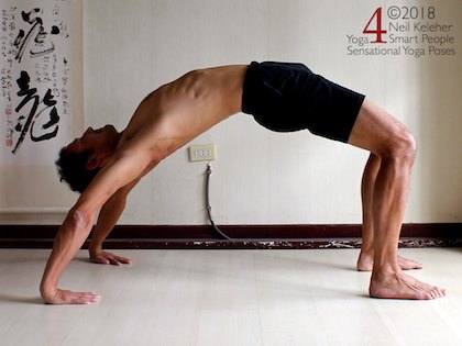 wheel pose, serratus anterior, yoga anatomy, serratus anterior, trapezius, yoga anatomy